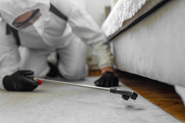 Professional Termite Control technician working in Garrett, WA