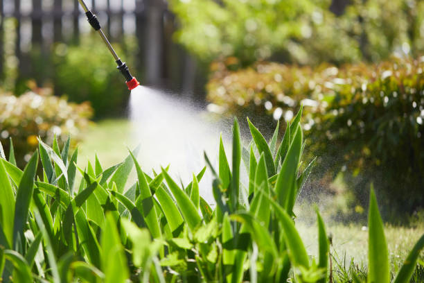 24/7 Emergency Termite Control experts in Garrett, WA